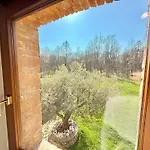 Saten Pavia d'Udine