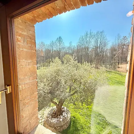 Saten Pavia di Udine
